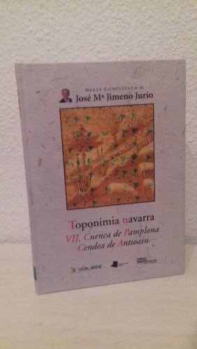 Portada del libro de TOPONIMIA NAVARRA VII CUENCA DE PAMPLONA CENDEA DE ANTSOAIN