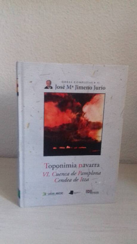 Portada del libro de TOPONIMIA NAVARRA VI CUENCA DE PAMPLONA CENDEA DE ITZA