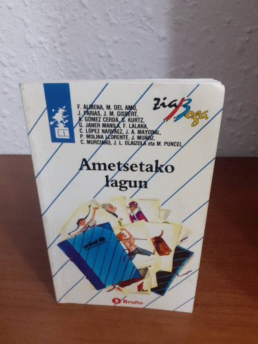 Portada del libro de AMETSETAKO LAGUN