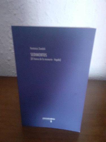 Portada del libro de SEDIMENTOS EL HUESO DE LA MEMORIA VAGIDO