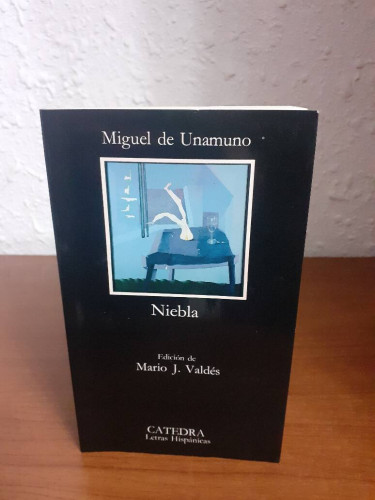 Portada del libro de NIEBLA