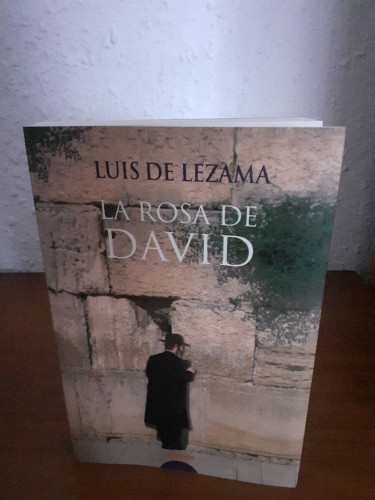 Portada del libro de ROSA DE DAVID, LA