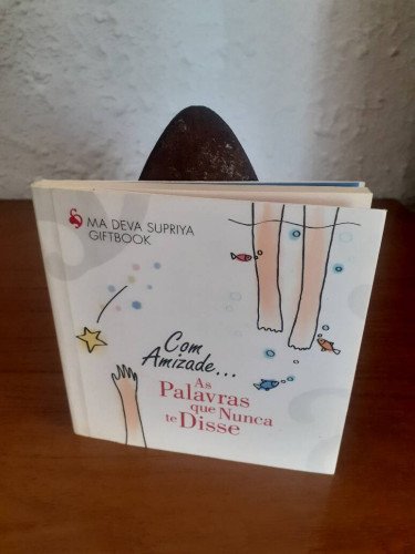 AS PALAVRAS QUE NUNCA TE DISSE