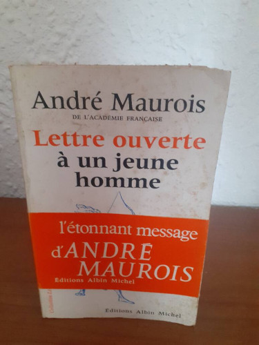 Portada del libro de LETTRE OUVERTE A UN JEUNE HOMME