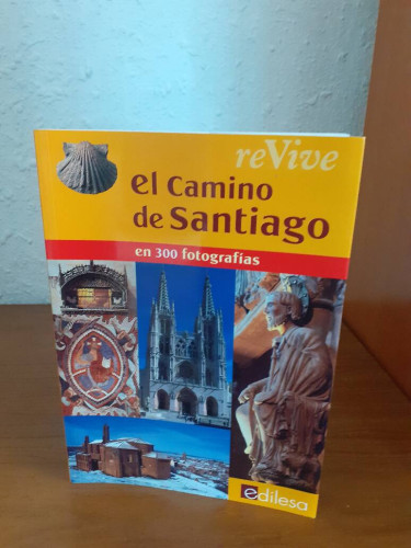 Portada del libro de REVIVE EL CAMINO DE SANTIAGO EN 300 FOTOGRAFIAS