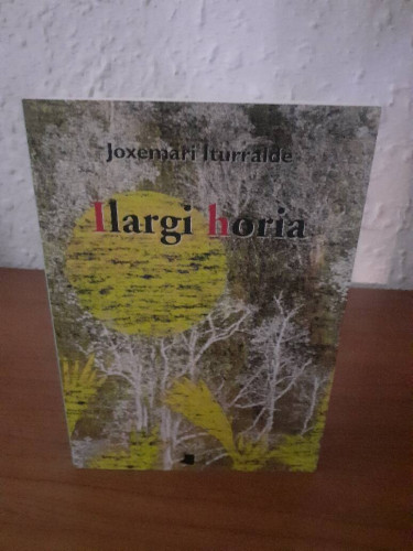 Portada del libro de ILARGI HORIA