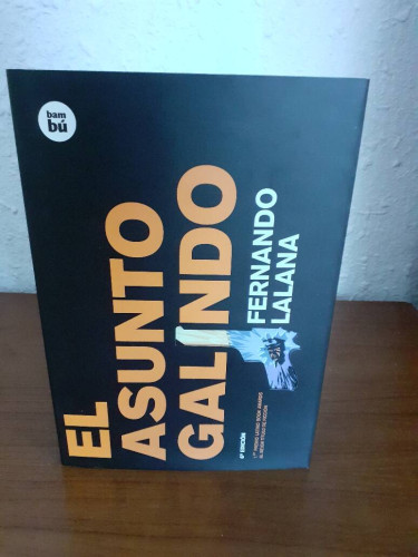 Portada del libro de ASUNTO GALINDO, EL