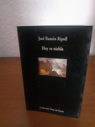 Portada del libro de HOY ES NIEBLA