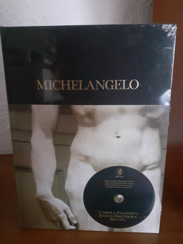 Portada del libro de Michelangelo