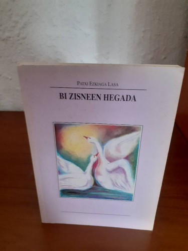 Portada del libro de BI ZISNEEN HEGADA