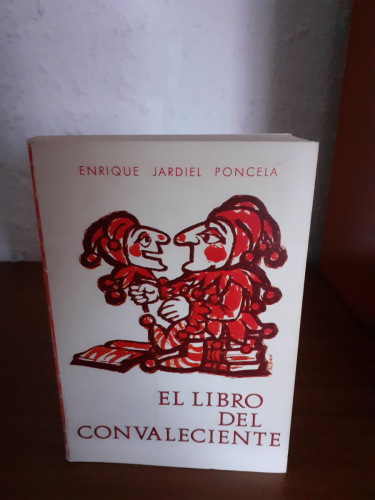 Portada del libro de El Libro Del Convaleciente