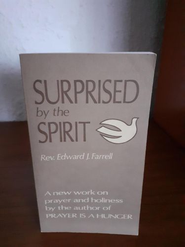 Portada del libro de Surprised by the spirit