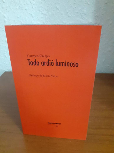 Portada del libro de TODO ARDIO LUMINOSO